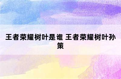 王者荣耀树叶是谁 王者荣耀树叶孙策